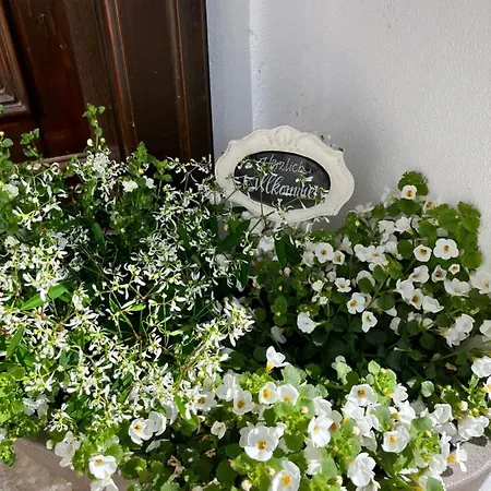 Leben Im Landhausstil